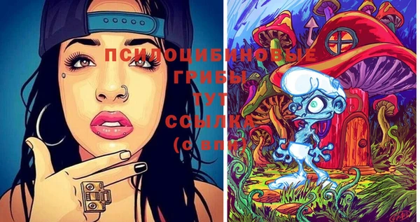 соль ск Одинцово